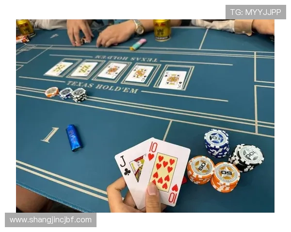 PG平台是否存在赌博嫌疑以及玩家应掌握的辨别技巧与注意事项